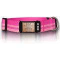 ROAD iD The Rock Solid Personalized ID Tag Dog Collar, Rose Gold, Pink, X-Large