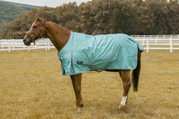 TuffRider 1200 D Comfy Winter Horse Blanket, Turquoise, 78-in slide 1 of 2