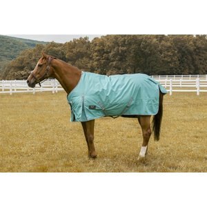 TuffRider 1200 D Comfy Winter Horse Blanket, Turquoise, 78-in