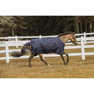TuffRider 1200 D Comfy Winter Horse Blanket, Navy, 78-in