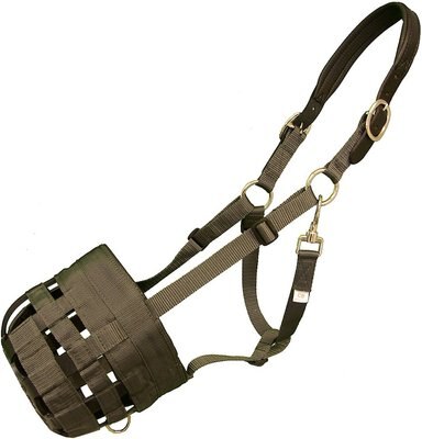 Best Friend Deluxe Grazing Horse Muzzle & Padded Leather Crown, slide 1 of 1