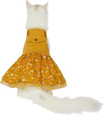 Frisco Corduroy Floral Dog & Cat Strap Dress, slide 1 of 1