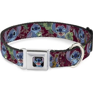 Buckle-Down Lilo & Stitch 6-Expressions Tropical Flora Polyester Dog Collar, Medium: 11 to 16.5-in neck, 1-in wide