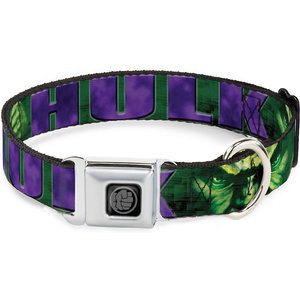 Buckle-Down Marvel Hulk Face Polyester Dog Collar, Small: 9.5 to 13-in neck, 1-in wide