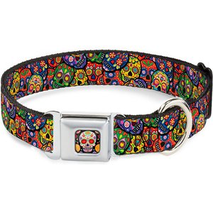 Buckle-Down Sugar Skull Starburst Polyester Dog Collar, Small: 9.5 to 13-in neck, 1-in wide