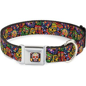 Buckle-Down Sugar Skull Starburst Polyester Dog Collar, Large: 15 to 24-in neck, 1-in wide