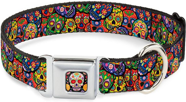 Buckle-Down Sugar Skull Starburst Polyester Dog Collar, Large Wide: 20 to 31-in neck, 1.5-in wide slide 1 of 9
