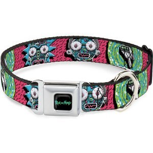 Buckle-Down Rick & Morty Polyester Dog Collar, Small: 9.5 to 13-in neck, 1-in wide