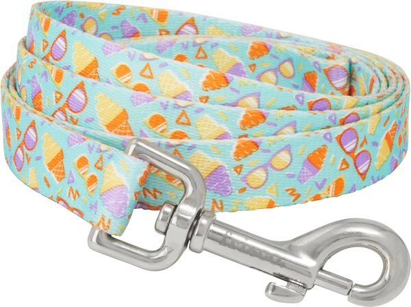 Ice Cream Party Dog Leash, MD - Length: 6-ft, Width: 3/4-in slide 1 of 3