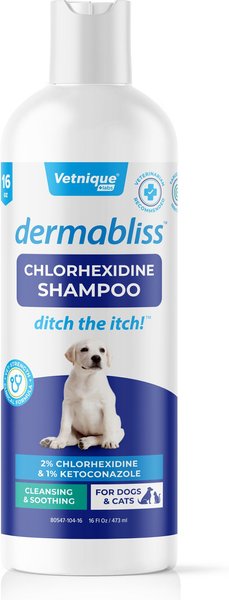Vetnique Labs Dermabliss Medicated Shampoo Anti-Bacterial & Anti-Fungal Medicated Dog & Cat Shampoo, 16-oz bottle slide 1 of 7