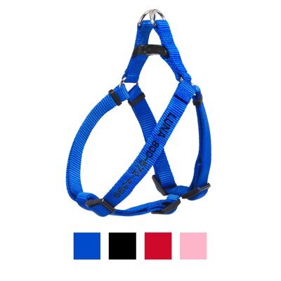 Frisco Nylon Step In Personalized Back Clip Dog Harness, slide 1 of 1