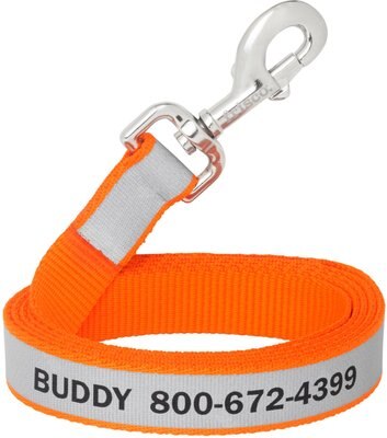 Frisco Solid Polyester Personalized Reflective Dog Leash, slide 1 of 1