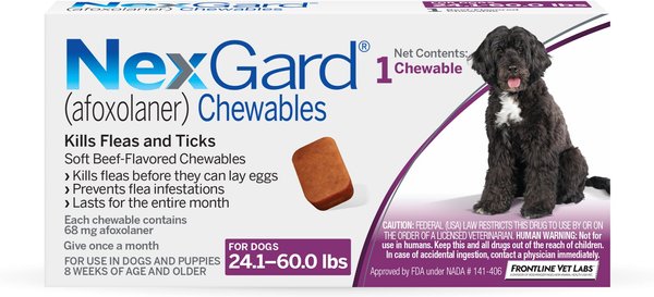 NexGard Chew for Dogs, 24.1-60 lbs, (Purple Box), 1 Chew (1-mo. supply) slide 1 of 11