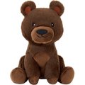 Frisco Camping Bear Plush Squeaky Dog Toy