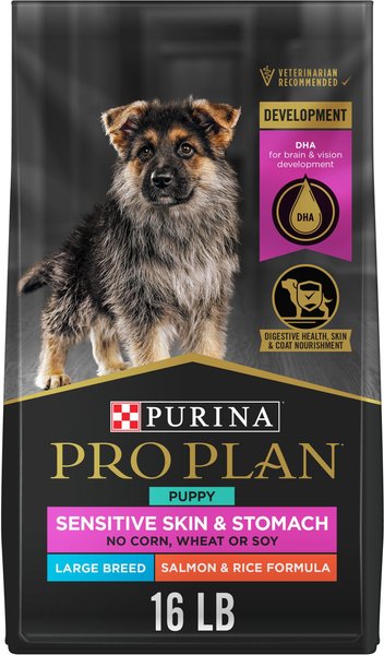 Purina Pro Plan Development Sensitive Skin & Stomach Salmon & Rice Large Breed Dry Puppy Food, 16-lb bag slide 1 of 10