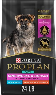 Purina Pro Plan Development Sensitive Skin & Stomach Salmon & Rice Large Breed Dry Puppy Food, slide 1 of 1