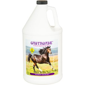 Cox Vet Lab Gastroade Liquid Horse Supplement, 1-gal bottle