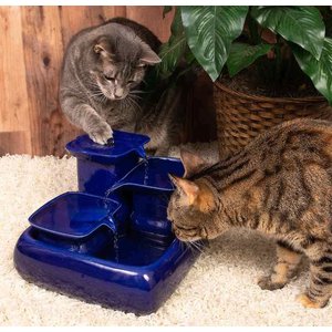 Miaustore Dog & Cat Ceramic Water Fountain, 115-oz, Blue