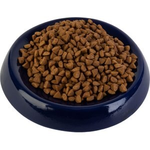 Miaustore Dog & Cat Bowl, 3.5-oz, Blue
