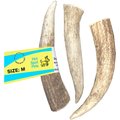 HOTSPOT PETS Whole Medium Elk 5-6-in Antlers Dog Chew Treats, 1 count