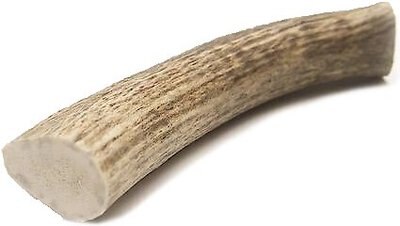 HOTSPOT PETS Whole X-Large Elk 8-9-in Antlers Dog Chew Treats, slide 1 of 1