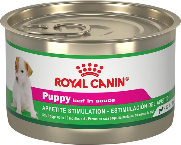 Royal Canin Puppy Appetite Stimulation Canned Dog Food, 5.2-oz, case of 24 slide 1 of 7