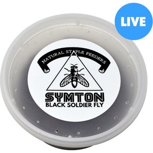 Symton Medium Live Black Soldier Fly Larvae Lizard Food, 1,000 count