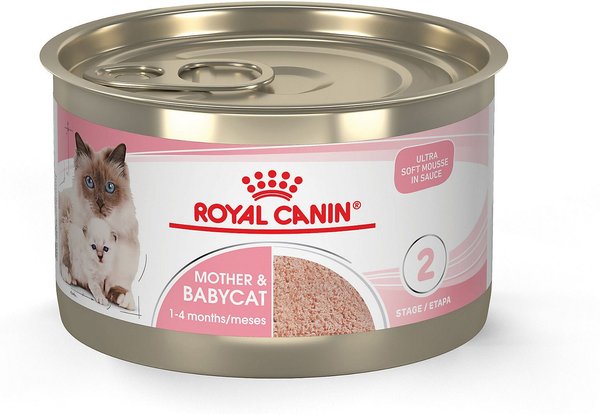 Royal Canin Mother & Babycat Ultra-Soft Mousse in Sauce Wet Cat Food for New Kittens & Nursing or Pregnant Mother Cats, 5.1-oz, case of 24 slide 1 of 9