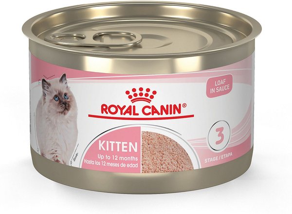 Royal Canin Feline Health Nutrition Loaf in Sauce Canned Kitten Food, 5.1-oz, case of 24 slide 1 of 7