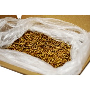 Little Farmer Products Bug-A-Licious Chicken Treats, 10-lb bag