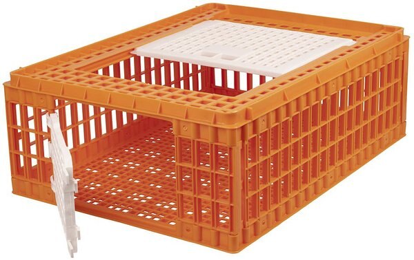 My Favorite Chicken Poultry Transport Crate slide 1 of 5