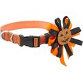 Frisco Orange Glitter Dog Collar  with Pumpkin Ribbon, Large, Neck 18 to 26 in, Width: 1-in