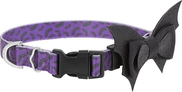 Frisco Purple Bat Wing Dog Collar with Wings, Small slide 1 of 6