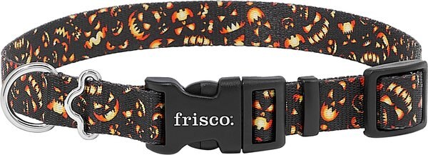 Frisco Scary Pumpkins Dog Collar, Extra Small, Neck 8 to 12 in, Width: 5/8-in slide 1 of 4