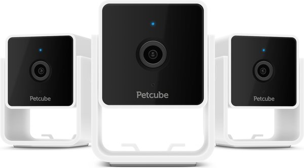 Petcube Cam HD Monitoring With Vet Chat Pet Camera, 3 count slide 1 of 6