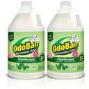 OdoBan Disinfectant Laundry & Air Freshener Concentrate, Eucalyptus Scent, 1-gal bottle, bundle of 2