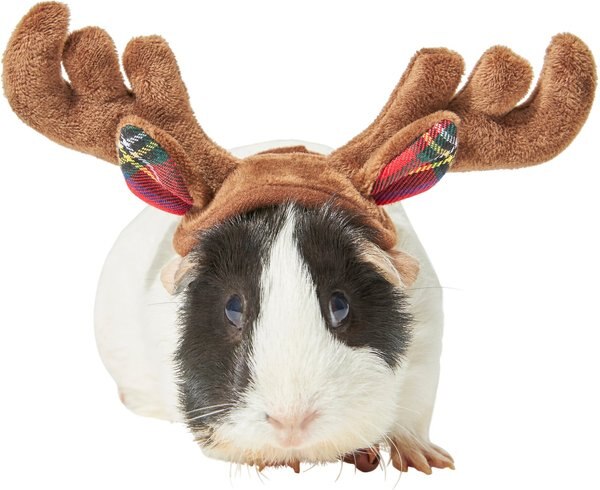 Frisco Holiday Antlers Guinea Pig Headpiece, One Size slide 1 of 5