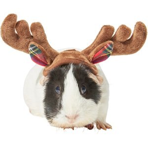 Frisco Holiday Antlers Guinea Pig Headpiece, One Size