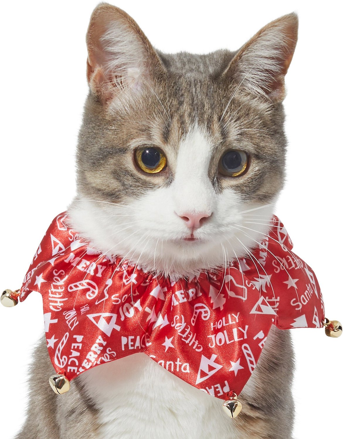 Frisco Merry Print Cat Ruffle Collar with Bells, One Size By Frisco
