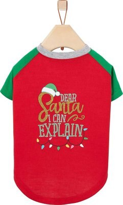 Frisco Santa I Can Explain Dog & Cat T-shirt, slide 1 of 1