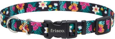 Frisco Miami Nights Dog Collar, slide 1 of 1