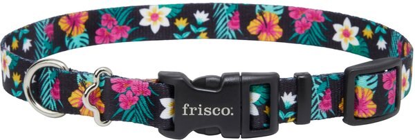 Frisco Miami Nights Dog Collar, Small: 10 to 14-in Neck, 5/8-in Wide slide 1 of 4