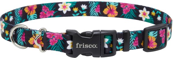 Frisco Miami Nights Dog Collar, Medium: 14 to 20-in Neck, 3/4-in Wide slide 1 of 4