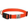 GoTags Adjustable Nameplate Personalized Dog Collar, Orange, Medium