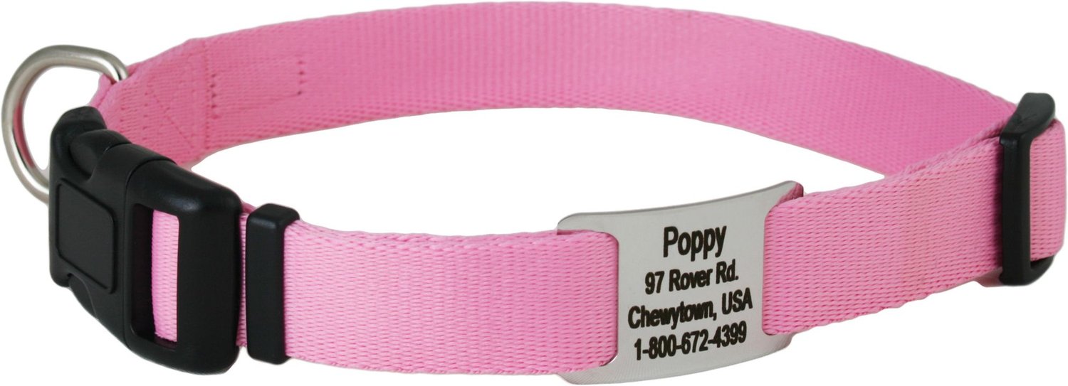 GoTags Adjustable Nameplate Personalized Dog Collar