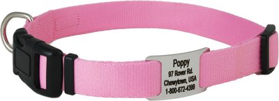 GoTags Adjustable Nameplate Personalized Dog Collar, slide 1 of 1