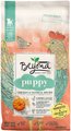 Purina Beyond Natural, High Protein Chicken & Oatmeal Recipe Dry Puppy Food, 3-lb bag