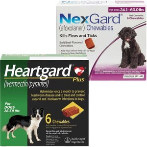 Heartgard Plus Chew for Dogs, 26-50 lbs, (Green Box), 6 Chews (6-mos. supply) & NexGard Chew for Dogs, 24.1-60 lbs, (Purple Box), 6 Chews (6-mos. supply)