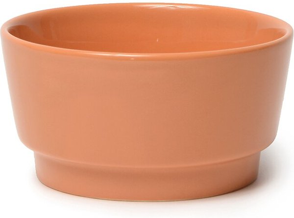 Waggo Gloss Ceramic Dog Bowl, Rust, 2-cup slide 1 of 3
