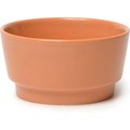 Waggo Gloss Ceramic Dog Bowl, Rust, 2-cup